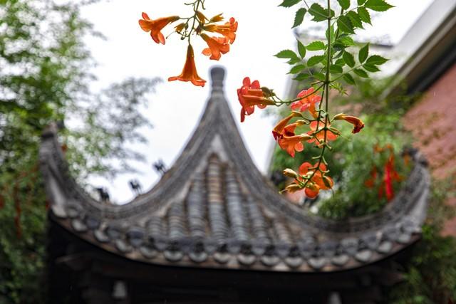 2025 年端午节：传统与现代的奇妙碰撞