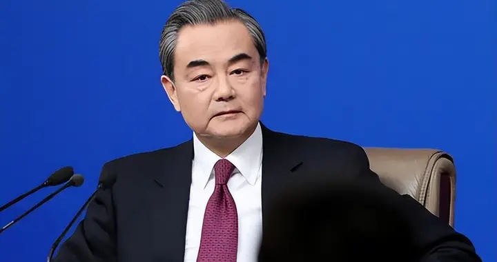 中伊外长通话表态：反对世界退回“丛林法则”，和平可盼不纵容