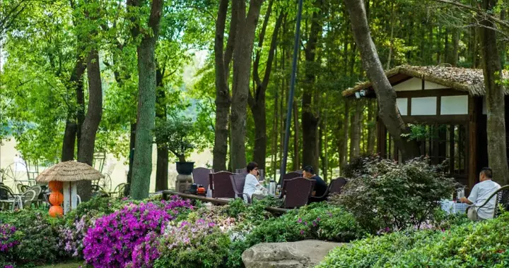 成都0.5h车程→品美食、围炉煮茶、穿越丛林、赏森林飞瀑…太好耍