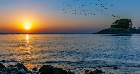 人生中的两件“放不下”