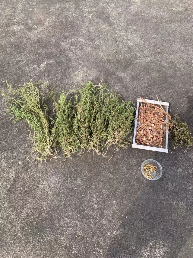 燃脂|腰间盘突出缓解腰腿疼，屡试有效