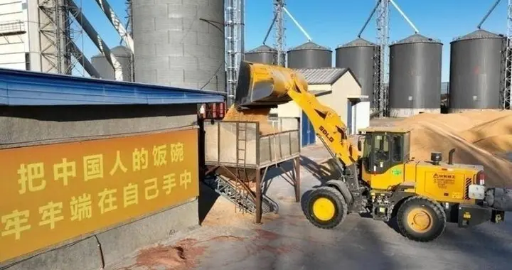 看完才懂！连年丰收仍说紧平衡，原来我们的粮食都消耗在这？