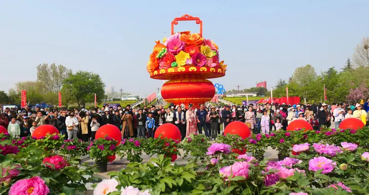 唯有牡丹真国色：2026年洛阳第43届牡丹文化节赏花全攻略