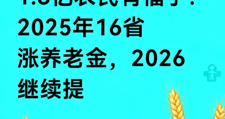 农民朋友注意！养老金涨了，16个省份额外多给钱，2026年还能再涨