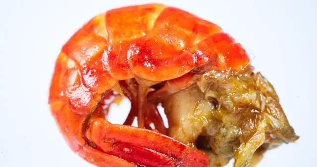 龙虾使用心得分享，完整的浏览器自动化控制