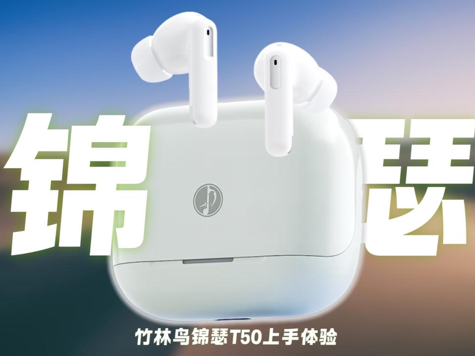 「竹林鸟锦瑟T50上手」99元的入门降噪耳机黑马？