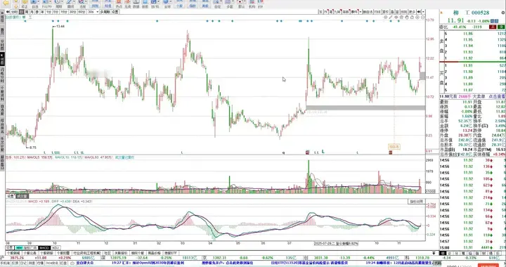 柳工走势结构分析 11.27