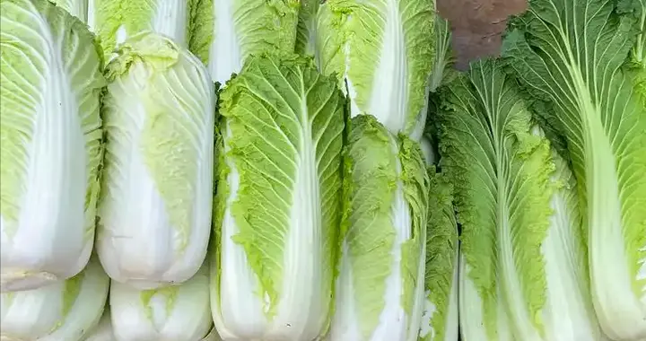 白菜大量上市了！医生提醒：糖尿病患者吃白菜时，要多留心这4点