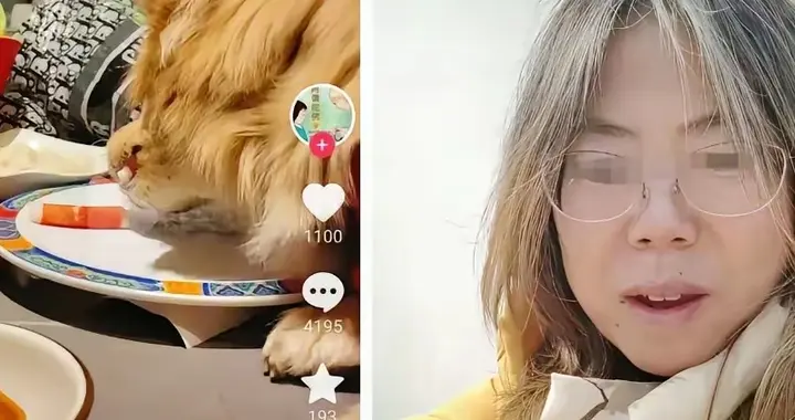 北京火锅店后续：餐具更换，赔偿消费者，视频下架，和解协议曝光