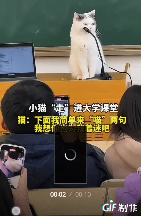 芳芳2：笑不活了！谁能想到，大学课堂没等