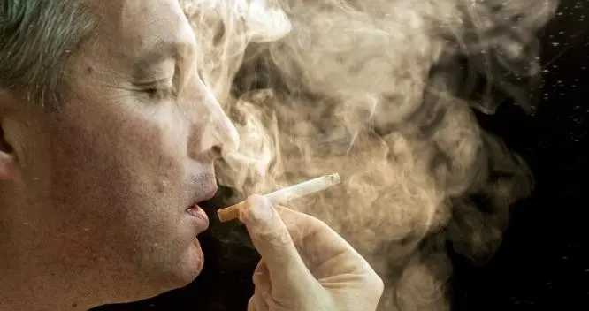 尼古丁能延寿40%？别急着给香烟平反！这是剂量与纯度的生死豪赌