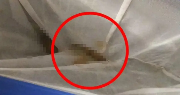 成都全裸私汤粪便后续！商家拒赔，反告顾客敲诈，背后公司有猫腻