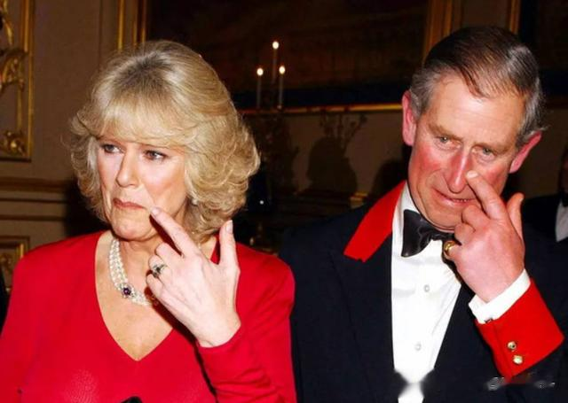 英国王室加冕结束，内斗如今又发展到了新的阶段吗？