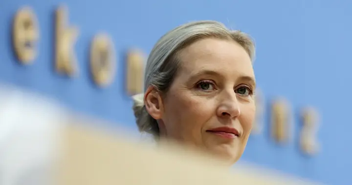 德国选择党提议废除欧洲议会的直接选举，把决策权交还各成员国
