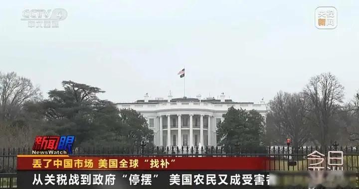 中国不买美豆半年，南美狂抢订单，谁在背后悄悄改写规则？