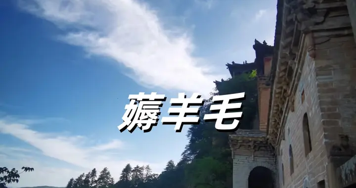 薅羊毛，该怎么读？你读对了吗？