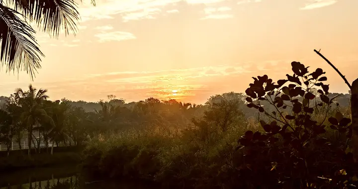 学会利他，懂得行善，是一种通透豁达的境界