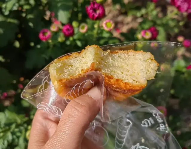 20241109日记：其实我们都还很年轻啊