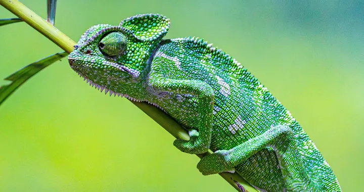 如何选择符合自己的交易风格？