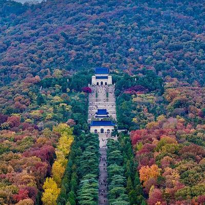 咸鱼，不想翻身：我对南京这项很不满意 作