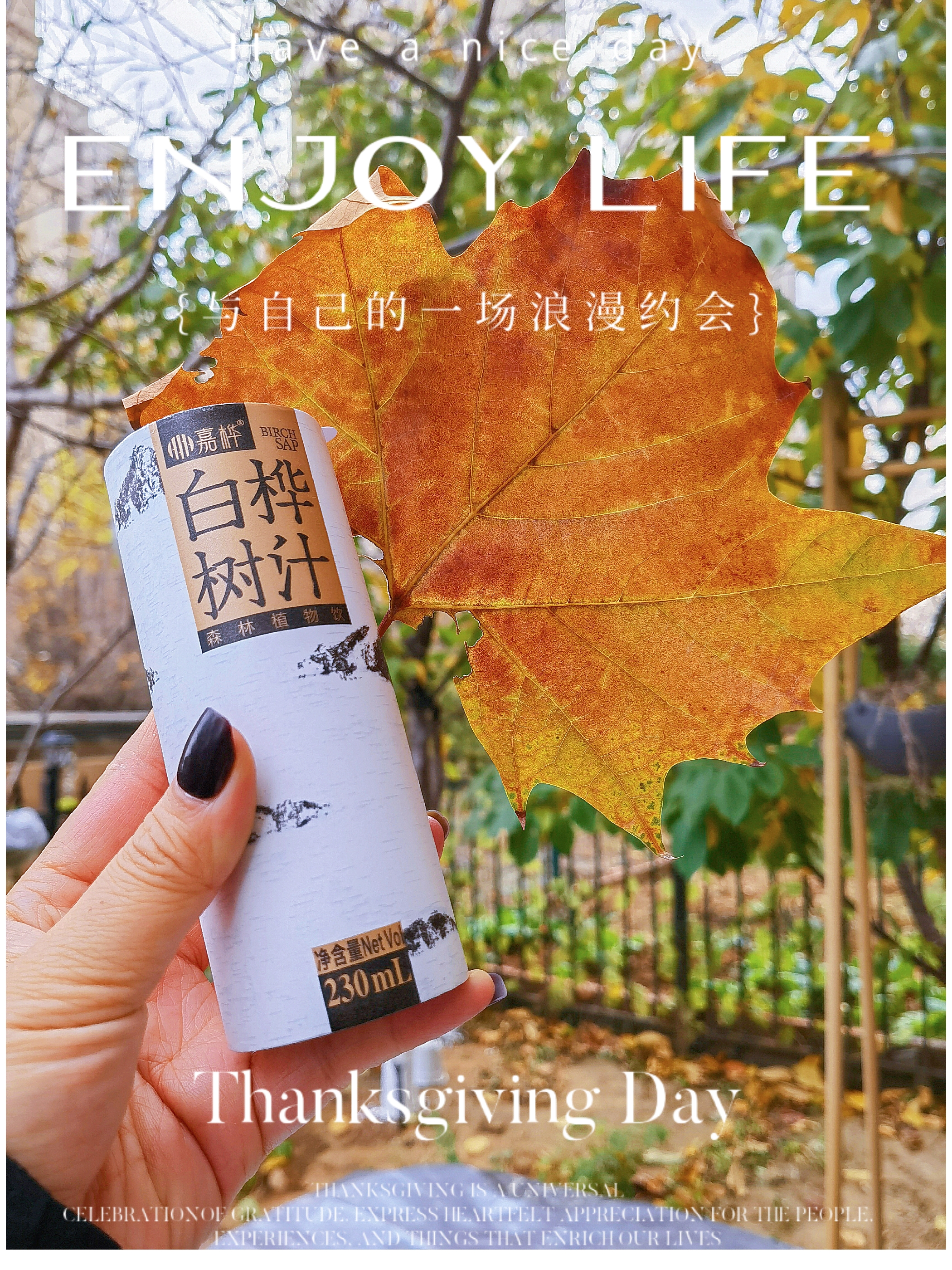 谁懂这一口白桦树汁的含金量？