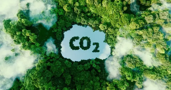 积极应对欧盟新规挑战，绿色经济转型加快完善全国碳市场体系