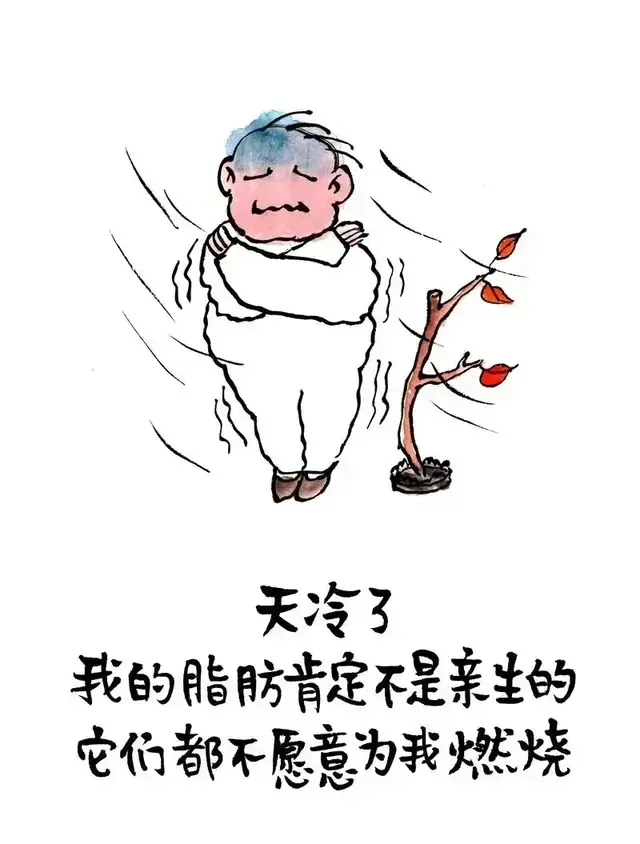 天冷了我的脂肪肯定不是亲生的，它们都不愿意为我燃烧