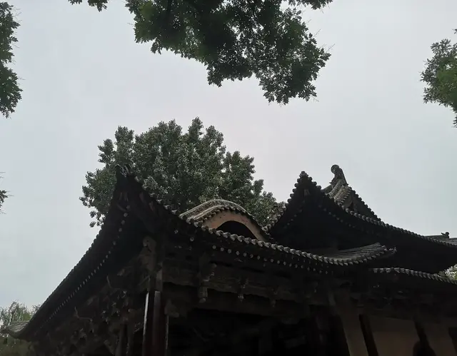 练瑜伽，一个人最大的内耗，是低质量勤奋！