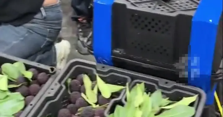 爱吃杨梅的注意！官方发布消费提示：异常鲜亮的可能加了防腐剂