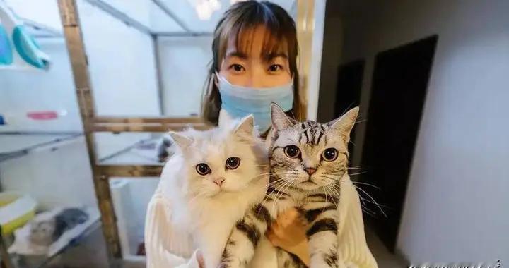 春节期间需求激增！浙江95后女生，9天接了100多单，能净赚8500元