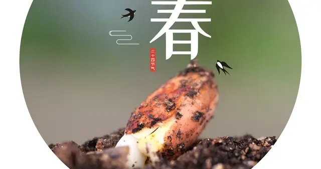立春：岁首迎新，天人相和
