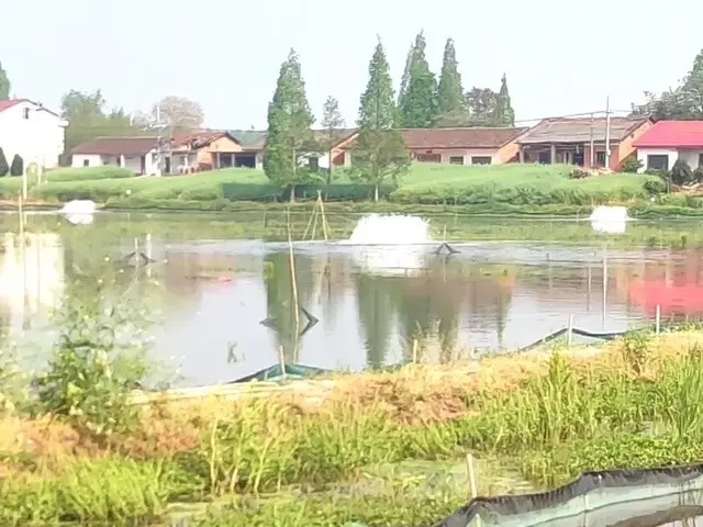 五月份龙虾养殖管理