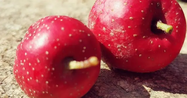 苹果和它一起煮，堪称“刮油冠军”！