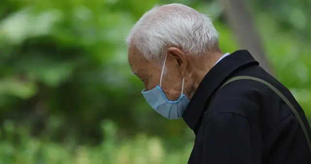 稀仙草煮水喝益肺止咳