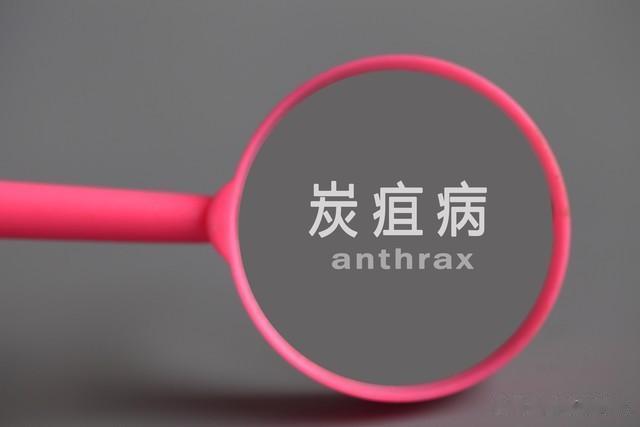 柑橘炭疽病大挑战？清园绝招让你笑对果园！