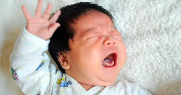 二月闹怎么破来围观