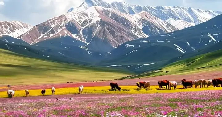 善心善念结善缘，善行善举得善果