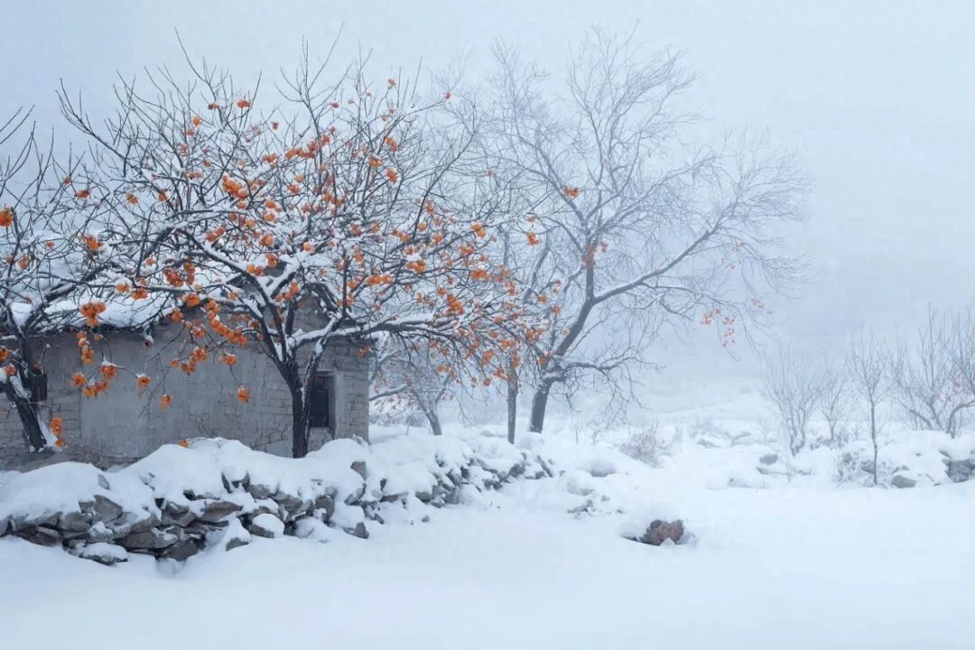 2025 年的产品和内容推荐：我就跟这个世界一样，这个世界是不会变的