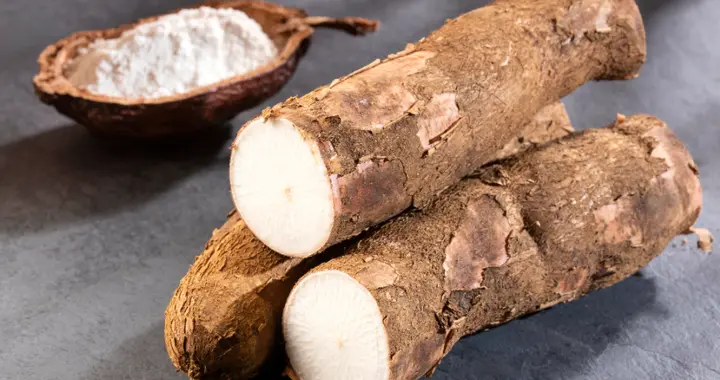 150克就能致命，但却被当成“粮食”来食用，如今还在大量种植？