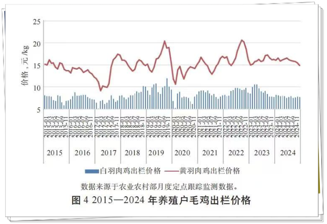 我国肉鸡中的黄鸡产量占比降至不足18%国产白羽肉鸡份额达到28%