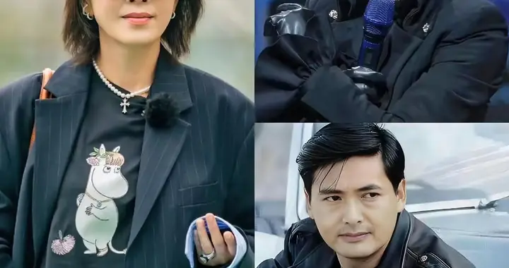 发哥、学友不碰综艺：娱乐圈“清流”背后的坚守