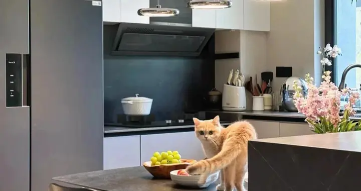 这是我见过最漂亮的家：真的想不到90平米的房子能被装得那么好看