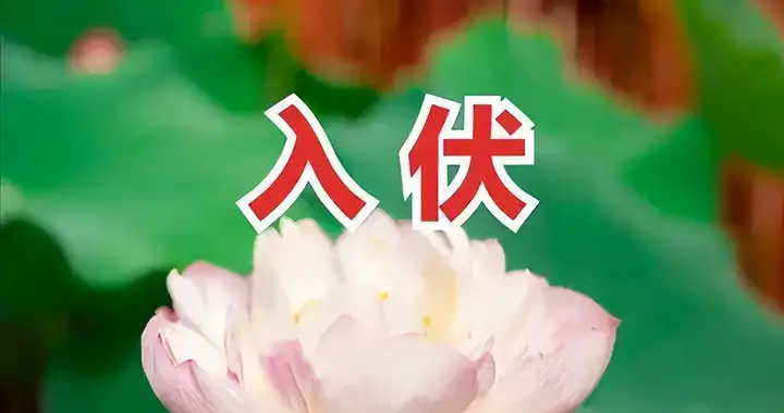 “早入伏，凉飕飕；晚入伏，热死牛”，7月15日入伏，是早还是晚