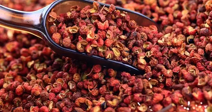 花椒藏抗衰密码！浙大实锤36小时清70%老化细胞