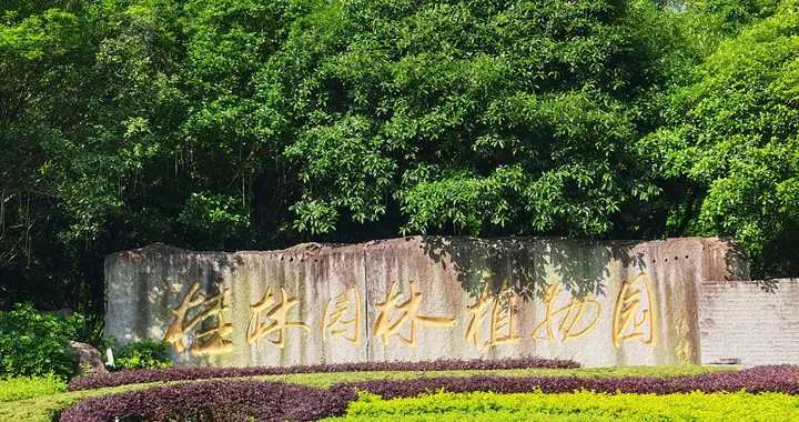 树干凝清色，疏叶曳和风。静守园林秀，常青意自浓。