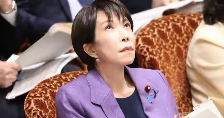 紧随其后，中方对日反倾销调查，小野田纪美:研发无稀土磁铁计划