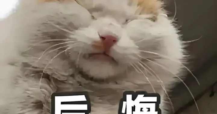 双11买电视别当冤大头！3个指标避开90%坑，怪不得这款电视卖爆！