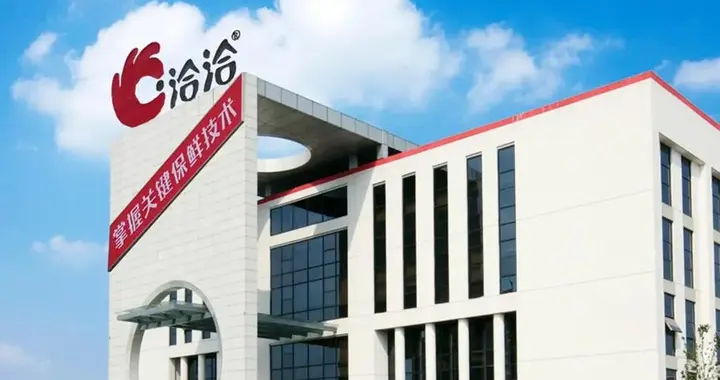 洽洽食品——难以做出品牌的零食