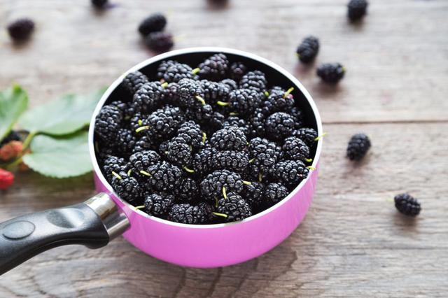 桑葚干泡水喝有什么功效和作用，干桑葚泡水能天天喝吗？