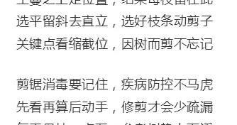 猕猴桃“自创傻瓜式”修剪技术？谁用谁说好！（建议收藏）